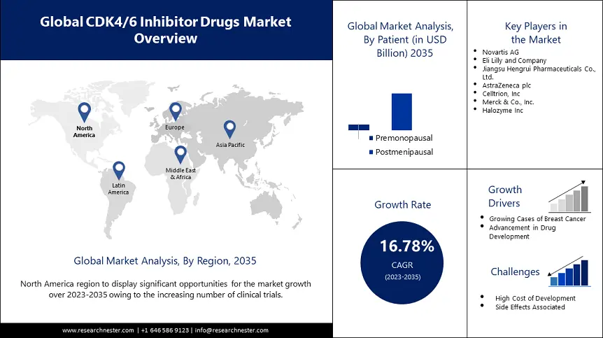 CDK 46 Inhibitor Drugs Market overview